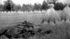 1943 г. Партизаны отряда имени Чапаева ведут бой за убранную рожь